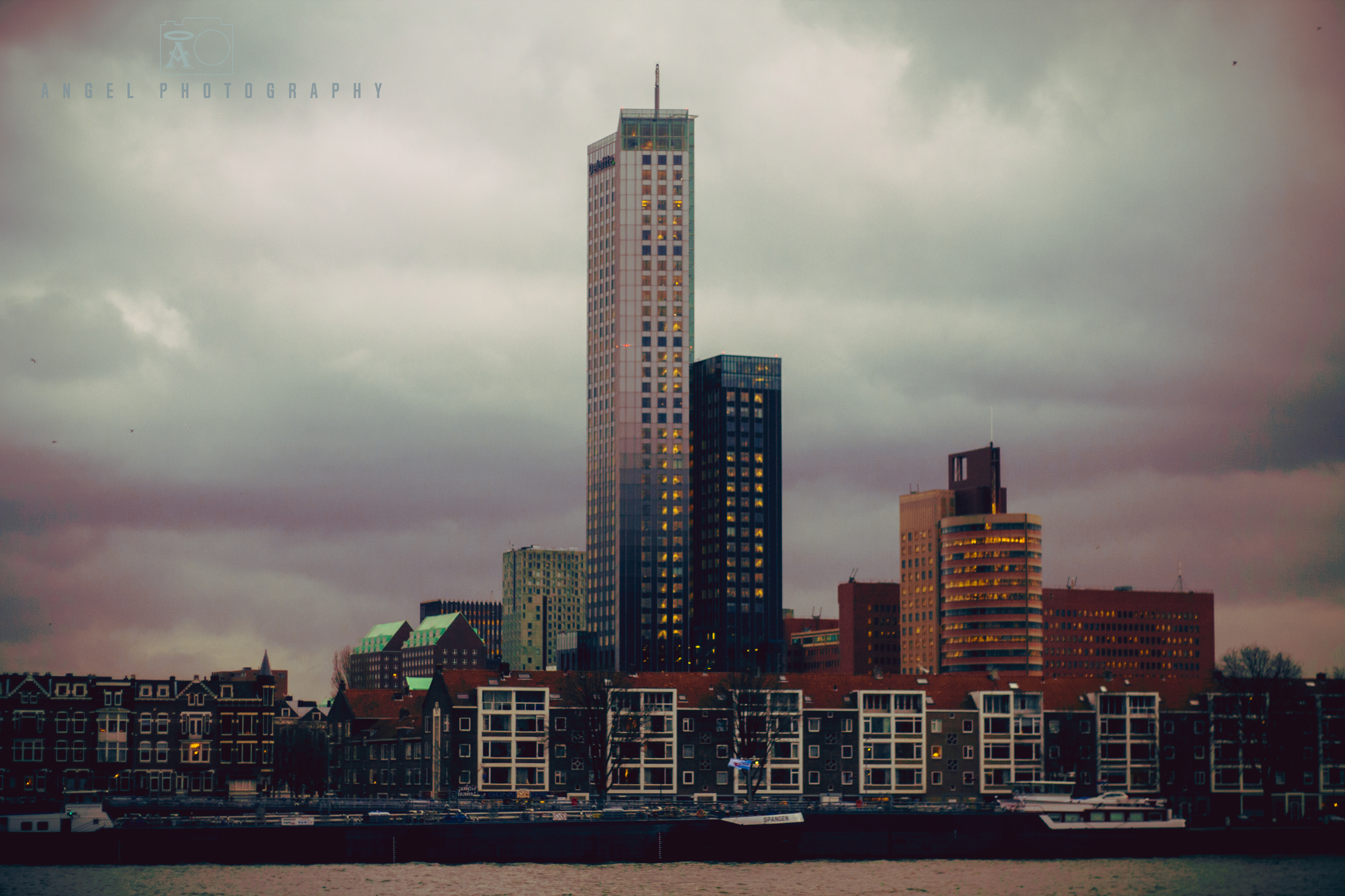 Rotterdam, Cityscape, Winter Season, Day Tour in Rotterdam, Contemporary City