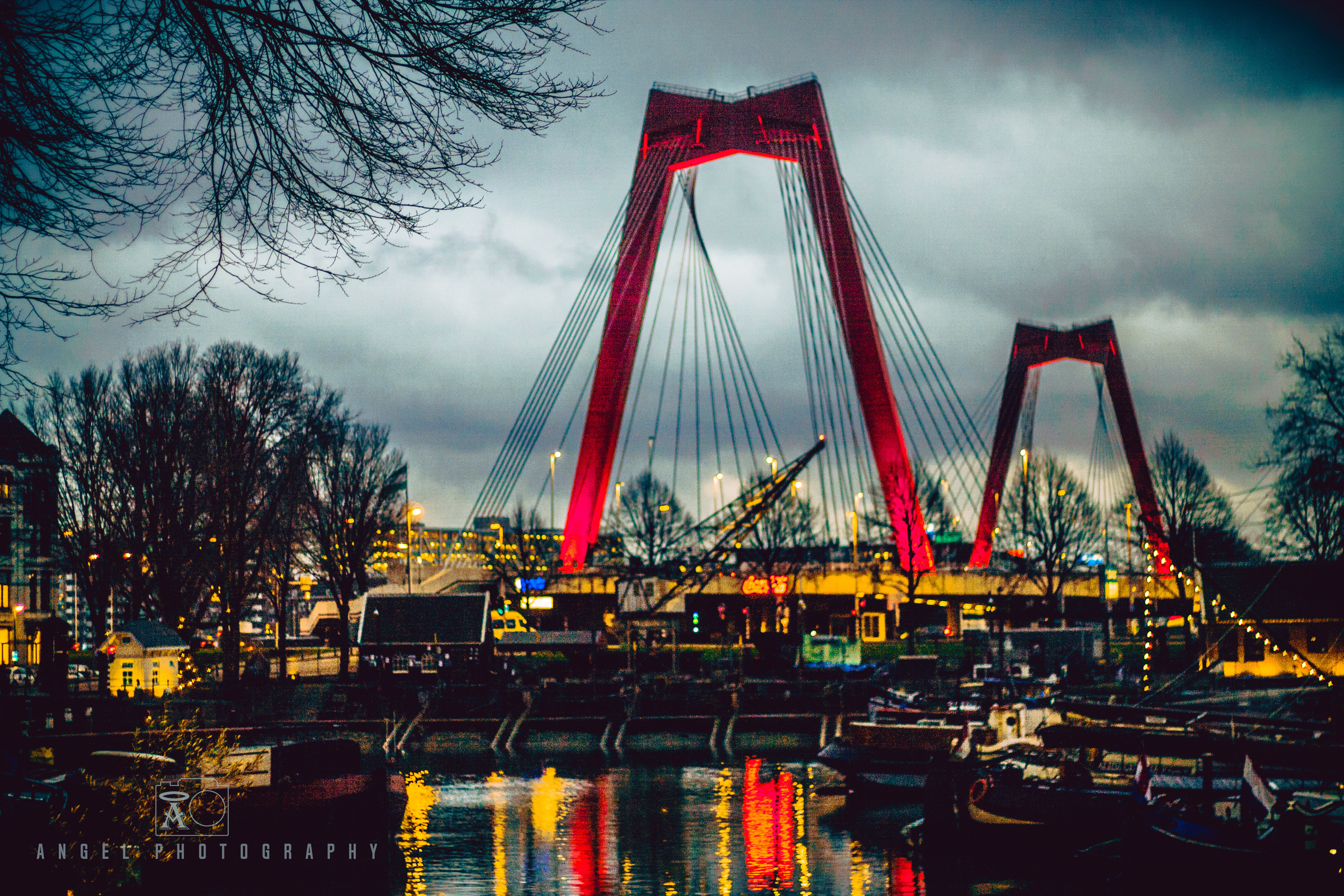 Rotterdam, Cityscape, Winter Season, Day Tour in Rotterdam, Contemporary City, Bridge