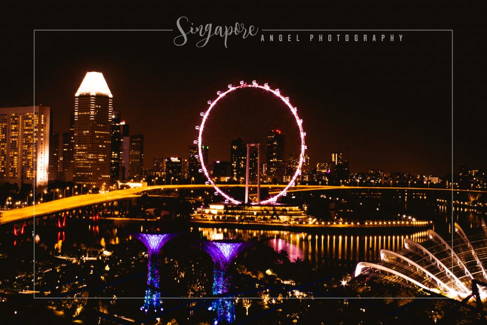 Singapore Eye, Singapore, Long Exposure, Photography