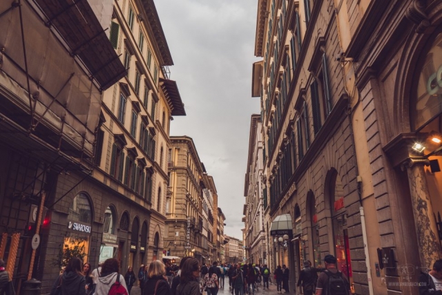 Day Photography, Cityscape, Landscape, Florence, Tourist Attraction, Ancient place, Tuscany, Italy, Shopping Streets in Florence, Florence Architecture