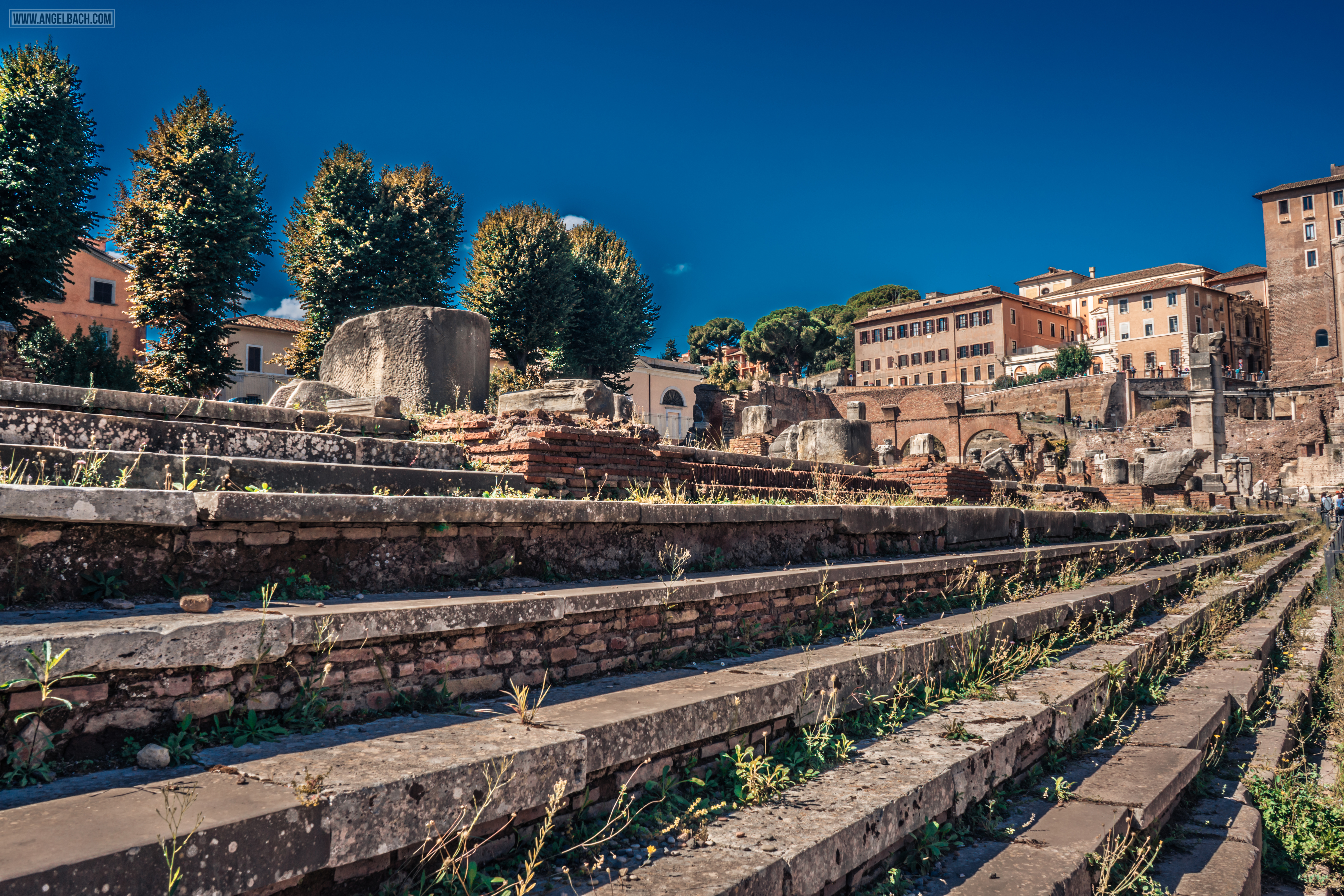 Rome, Cityscape, Leading lines, Street photography, Architecture Photography, Ancient Rome, The Forum Romanum