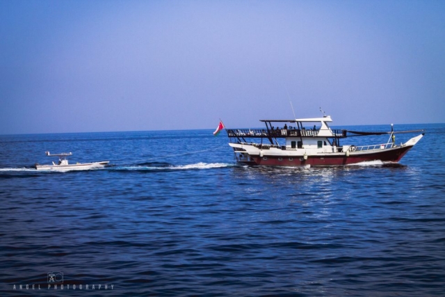 Dibba, Oman, Landscape, Dhow Cruise, Musandam Tour, Sailing