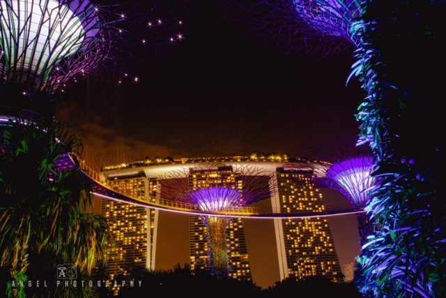 Night in Singapore, Marina Bay Sands, Gardens by the bay, Singapore Cityscape