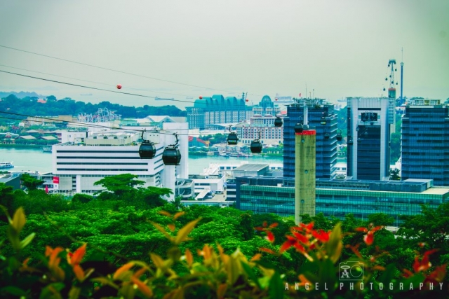 Cable Car, Singapore Day Tour, Singaper cityscape